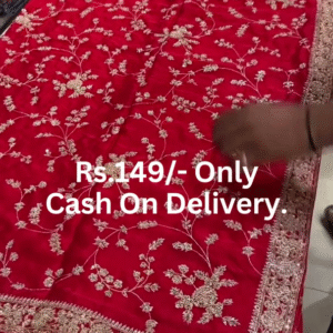 Scarlet Majesty: Intricately Embroidered Zardosi Festive Saree