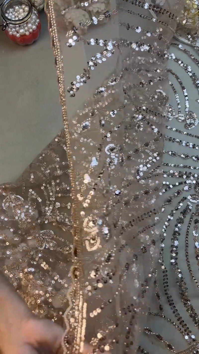 Opulent Champagne Shimmer Sequin-Embellished Net Saree β A Masterpiece of Glitz - Image 4