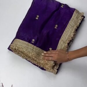 Opulent Lustre Ethnic Drape with Gota-Patti Trims – Available in Royal Blue, Imperial Purple, Sage Green & Rose Pink