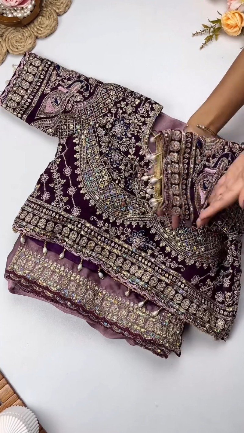 Opulent Velvet & Organza Embroidered Saree Set β Available in Majestic Plum & Royal Burgundy - Image 4