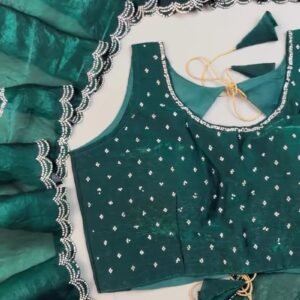 Emerald Radiance Stone-Embellished Organza Saree & Sleeveless Blouse Set