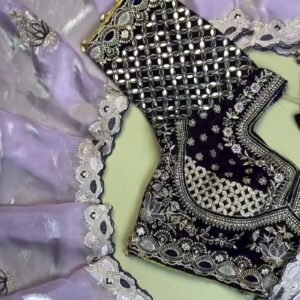 Opulent Velvet Mirror-Work Blouse & Organza Saree Set