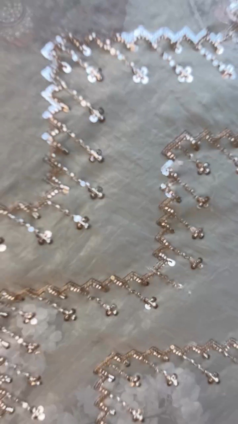 Opulent Champagne Sequin Embroidered Ethnic Ensemble - Image 5