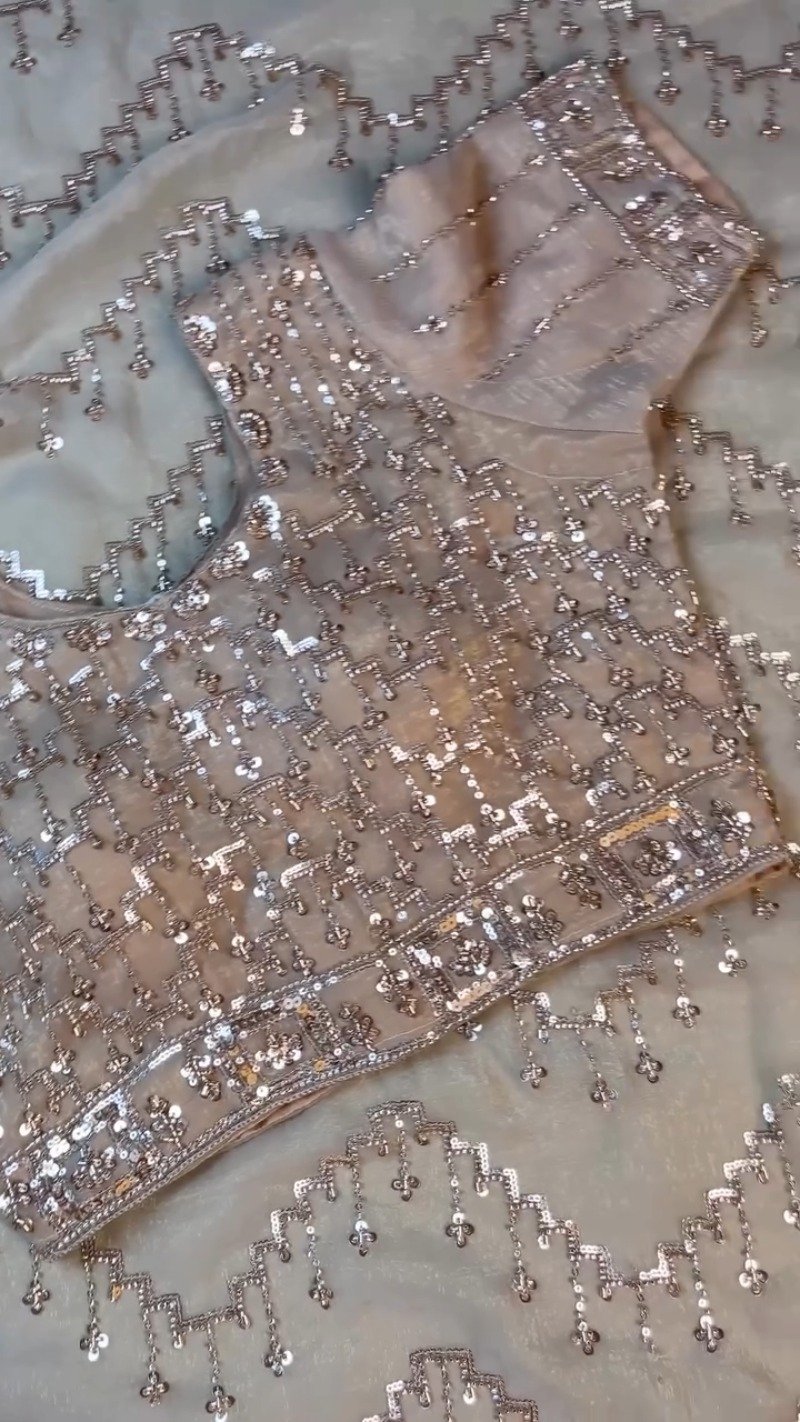 Opulent Champagne Sequin Embroidered Ethnic Ensemble - Image 9