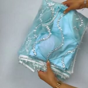 Ethereal Sequinned Organza Saree Set – Available in Serene Sky Blue & Vibrant Fuchsia Pink