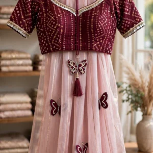 Blush Pink Butterfly Motif Organza Saree with Embroidered Velvet Blouse – A Fusion of Whimsy and Elegance